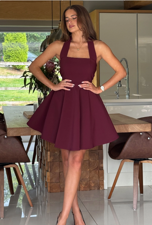 Pandora Halter Neck Mini Skater Dress Berry